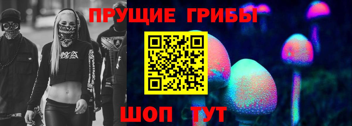 Псилоцибиновые грибы GOLDEN TEACHER Ростов Великий